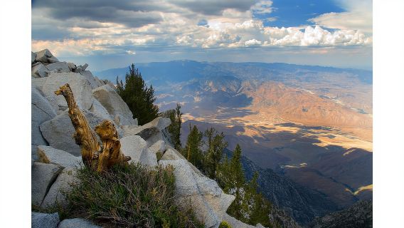 Palm Springs: Aerial Tramway Round-Trip Ticket