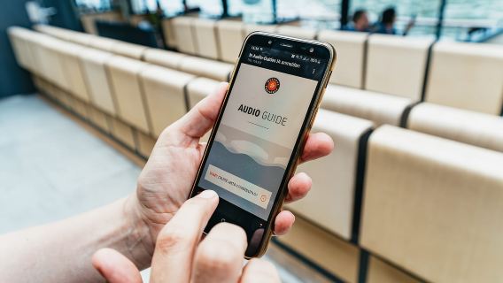 Parigi: crociera di 1 ora sulla Senna con partenza dalla Torre Eiffel