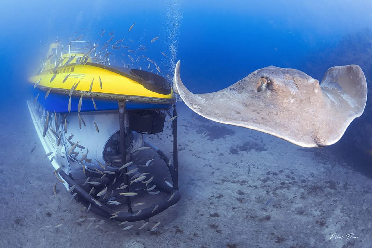 Puerto de la Cruz: Submarine Trip and Beach Stop in Tenerife