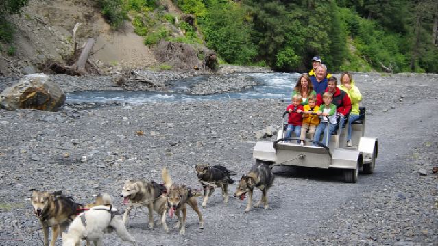 Seward: Summer Dog Sled Ride and Seavey Estate Tour