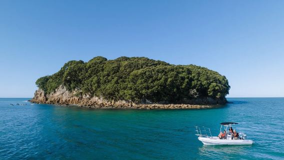 Discover Whangamata - Boat Tour