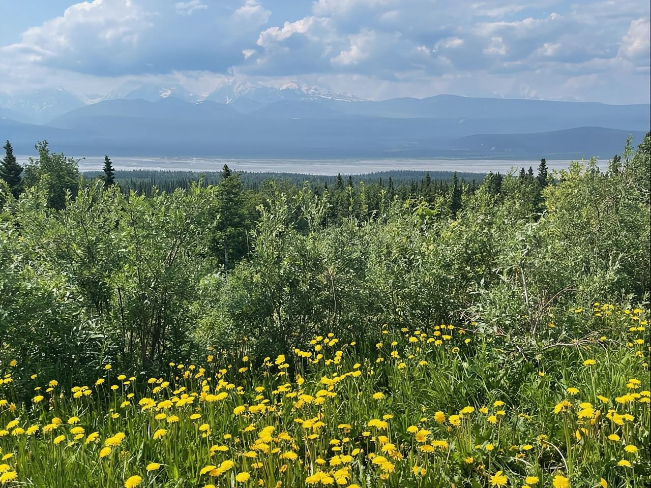 Lago glaciale, cascata e foresta pluviale. La bellezza di Turnagain!