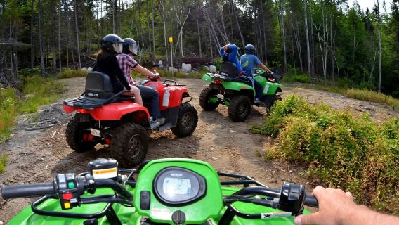 15 min. Tadoussac : Guided ATV tour excursion