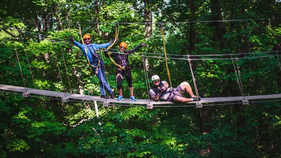 Saluda: ทัวร์ซิปไลน์แบบ Canopy พร้อมการโรยตัวและสะพานลอยฟ้า