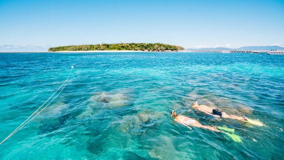 Cairns: Snorkel en Green Island o barco con fondo de cristal