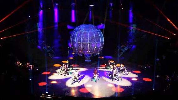 Shanghai Van Gogh Starry Sky Museum + ERA Circus Acrobatic Show Night Tour [7:30 PM Session]