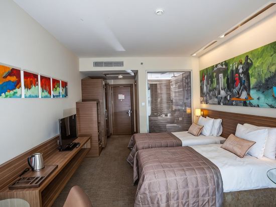 Gorrion Hotel Istanbul Room Type - Triple Room