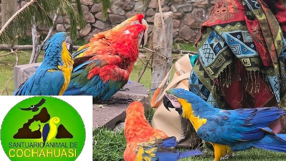 Cochahuasi Sanctuary: Official VIP tour wild Experience