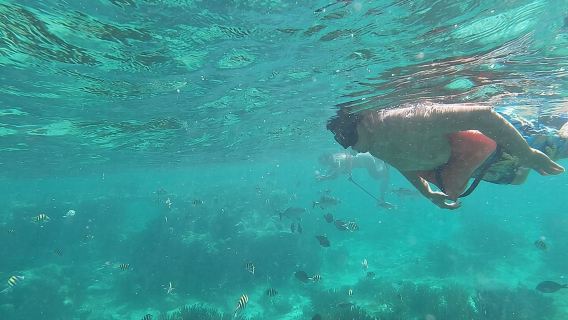 Isla Mujeres Snorkeling Adventure at the Underwater Museum