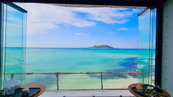 【追海豚西南線】濟州島旅遊一日遊涯月邑挾才海水浴場小羊肖恩山茶花