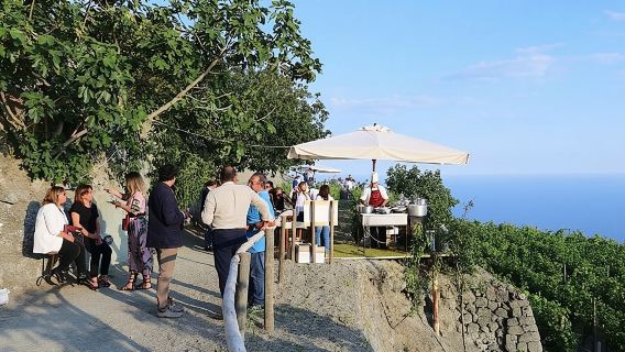 Ischia: Wine Tasting Experience with Vineyard's Tour & Transfer Included