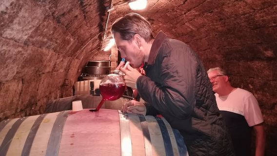 Countryside Half-day Wine Tour near Budapest with Meal and Pickup