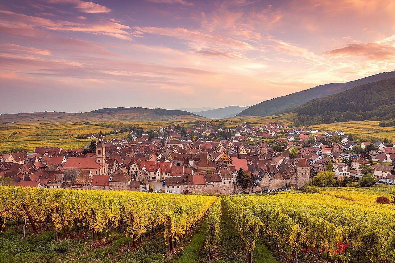 Alsace 4 Wonders Private Full Day Trip