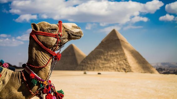 CairoTours