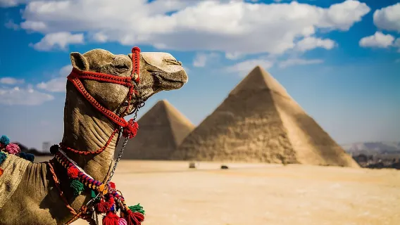 Mezza giornata alle piramidi di Giza e alla Sfinge con giro in cammello di 1 ora