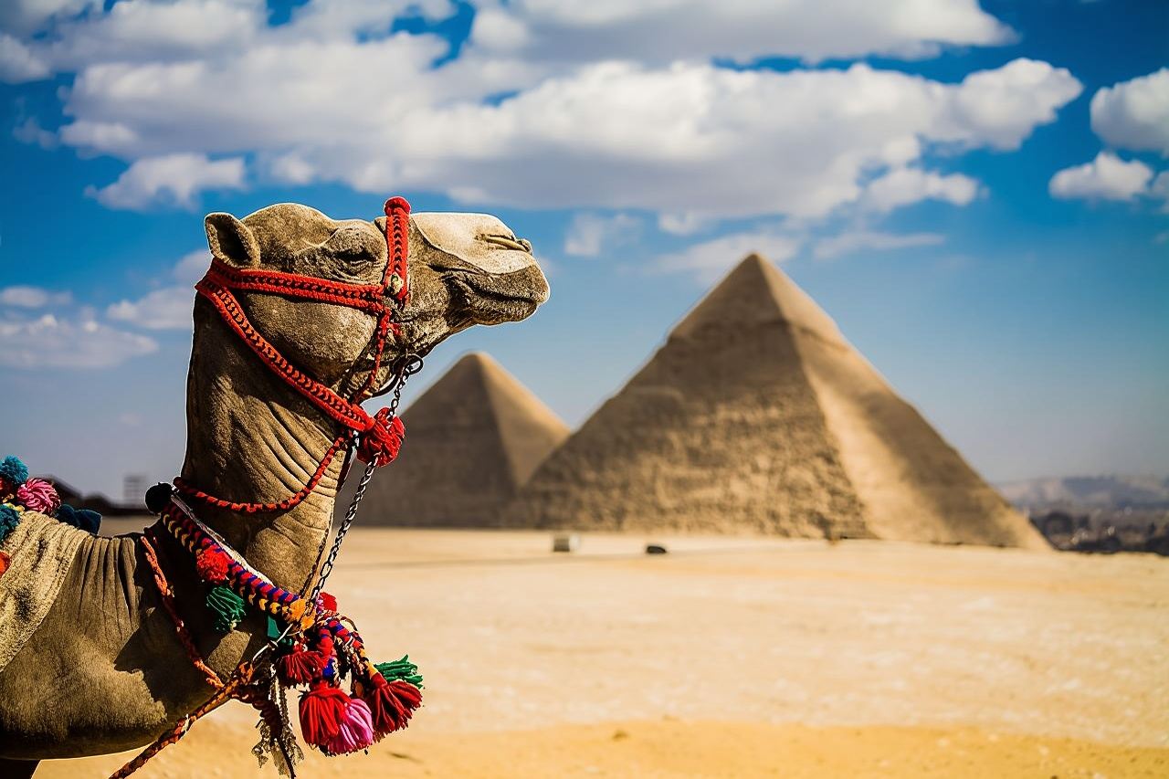 Mezza giornata alle piramidi di Giza e alla Sfinge con giro in cammello di 1 ora