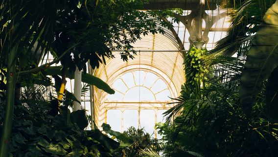 Kew Gardens, Richmond - Self-Guided Audio Tour
