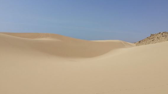Sahara sand dunes and paradise valley full-day tour from Agadir