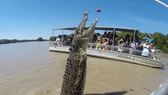 El autobús Croc Bus al famoso crucero de los cocodrilos saltarines
