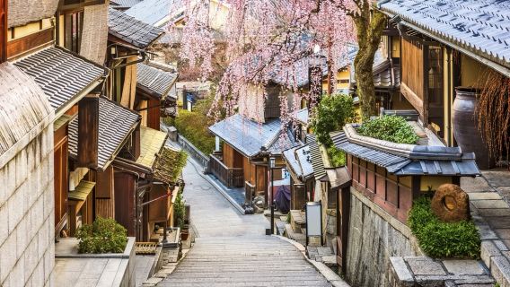 日本大阪-奈良公園-奈良國立博物館【普通話專車-舒適純淨】