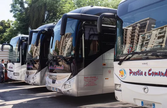 巴勒莫機場-巴勒莫市中心巴士票