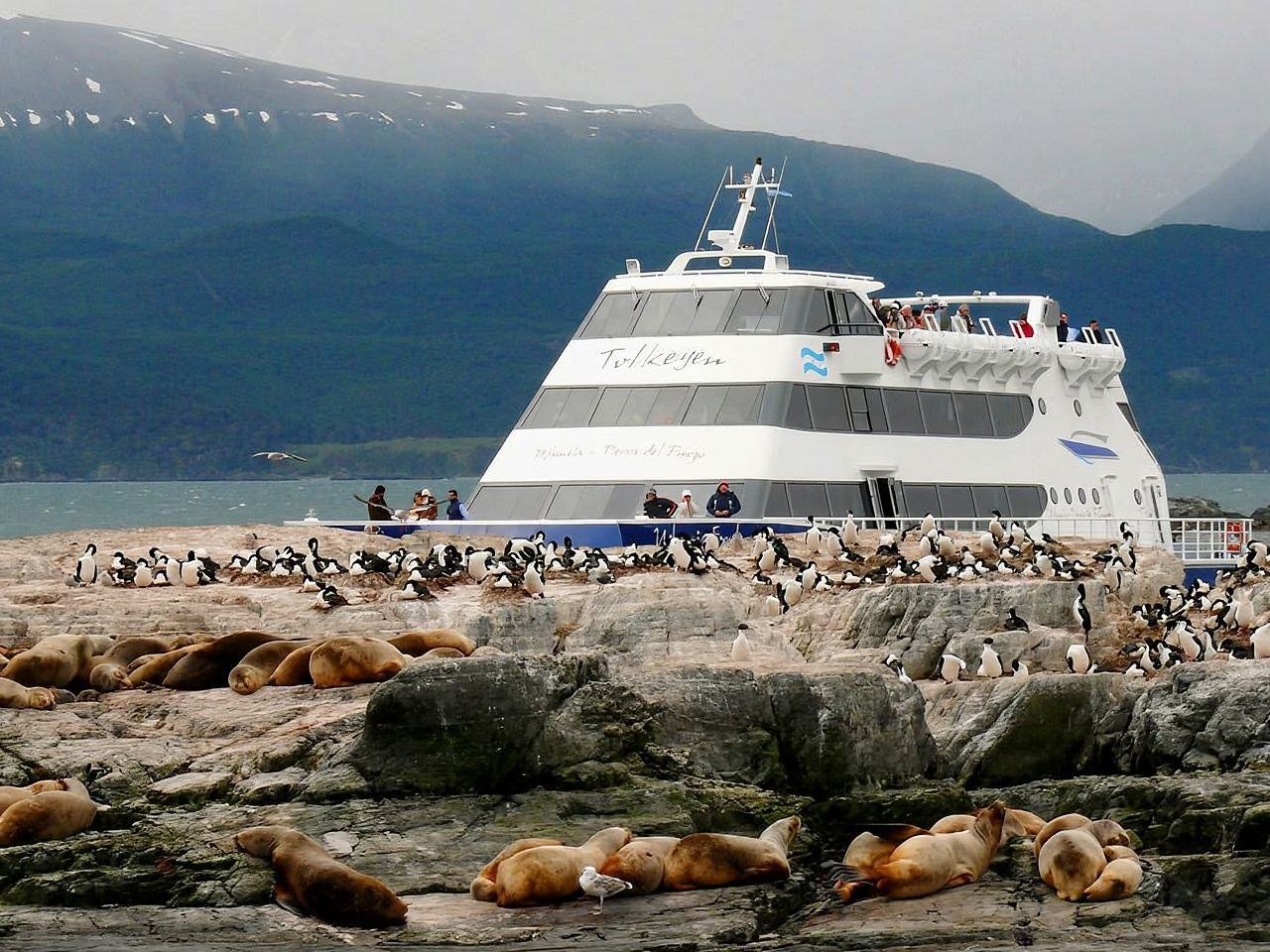Ushuaia Beagle Channel Catamaran Tour in Argentina