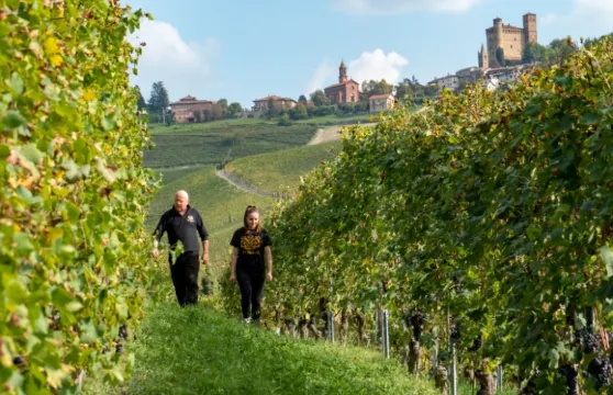 蒙特塞拉特山＋錫格斯＋科多紐酒莊【山海修道院與酒莊之旅】