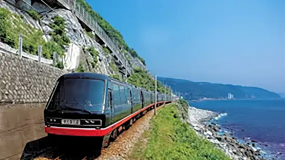 日本伊豆：大室山+仙人掌動物園+城崎海岸+伊豆觀海列車