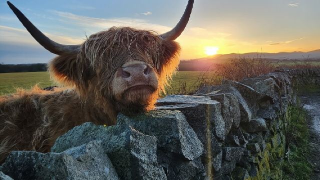 Private Tour of the Scottish Highlands from Edinburgh