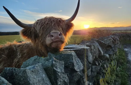 愛丁堡出發的蘇格蘭高地獨立包團