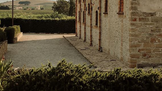 E-bike ride and tasting