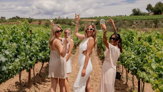 Барселона: тур по Таррагоне с гидом и винным туром по желанию