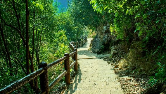 Senderos verdes de Shillong: experiencia de trekking guiada con guías locales