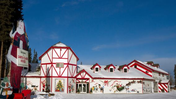 Fairbanks: Winter City Tour