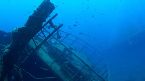 Puerto de Mogán: Submarine Tour
