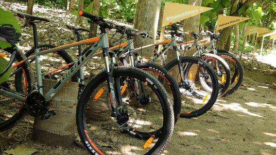 Desde Puerto Vallarta: Tour en bicicleta de montaña por la jungla