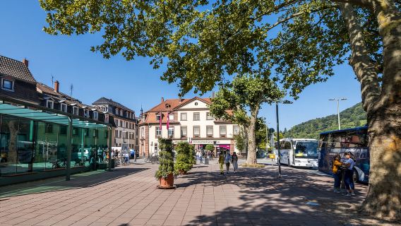 Heidelberg: Sightseeing-Bus und Schlosstour