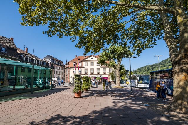 Heidelberg: Sightseeing-Bus und Schlosstour