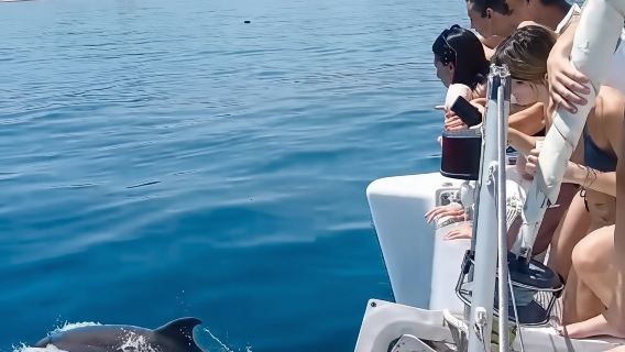 Benalmádena: Sailing & Dolphin Watching with Snacks/Drinks