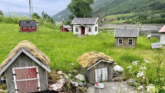 Tromsø: Tour tham quan vịnh hẹp và đảo Sommarøy kèm dã ngoại cá hồi