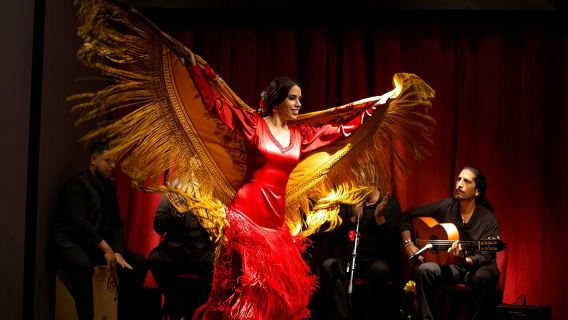 Flamenco Casa Sors & Guitar Museum with Optional Drink or Dinner