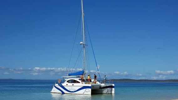 Fraser Island 4-Hour Eco-Sailing Adventure