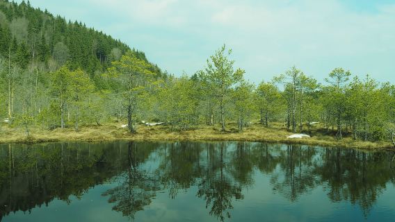 Từ Brasov: Chuyến đi trong ngày đến Hồ núi lửa theo nhóm nhỏ