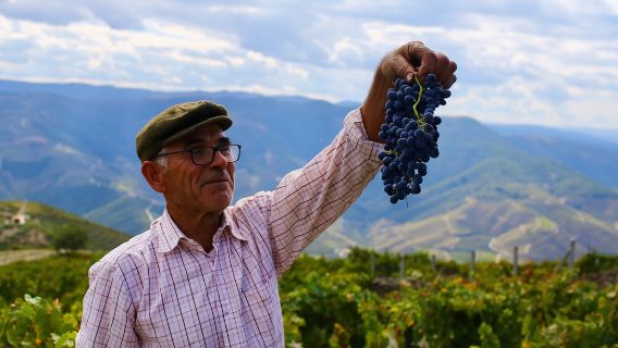 ปินเฮา: ทัวร์เดินป่าในหุบเขาดูโอโร
