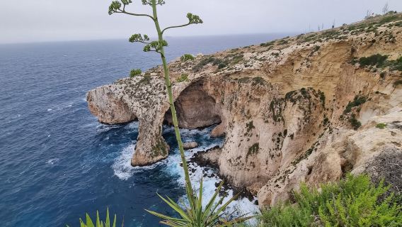馬耳他藍洞+瓦萊塔聖約翰大教堂+舊薄荷街+大王宮上巴拉卡花園