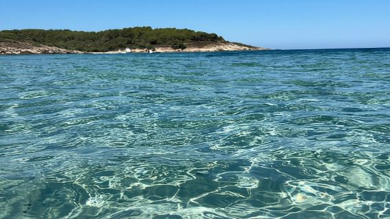 Calvi: Desierto de Agriates y calas escondidas en barco (máx. 12 personas)