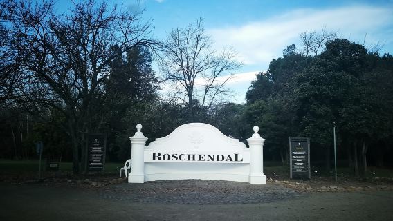 Stellenbosch: Family Bike Tour to Boschendal Estate