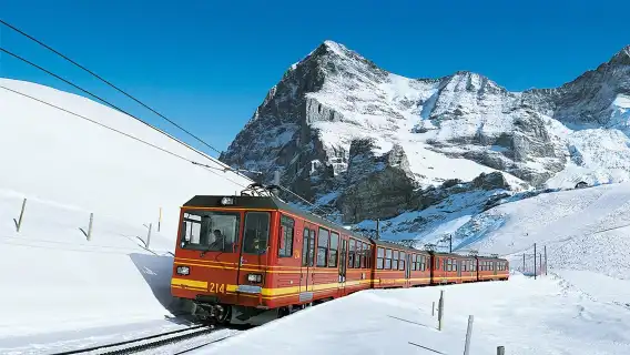 8-person small group 1-day tour to Jungfraujoch - Top of Europe and Lungern from Interlaken with round-trip hotel transfers in Zurich