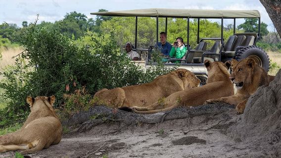 Ganztagesausflug zum Chobe-Nationalpark ab Victoria Falls