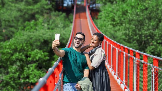 Best DMZ Tour Korea from Seoul (Red Suspension Bridge Optional)
